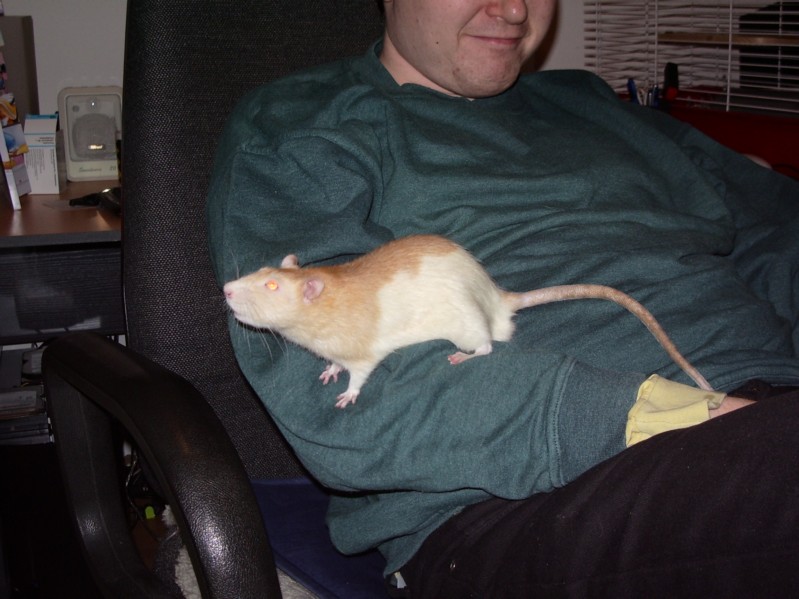Gandalf