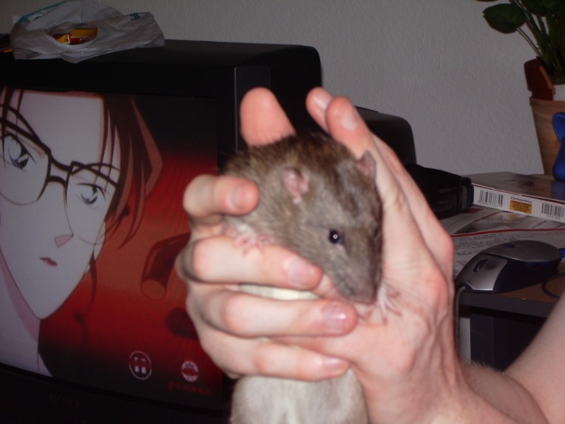 Gon und Eri